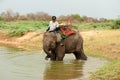 Young Elephant happiness with water after Ordination parade on elephant